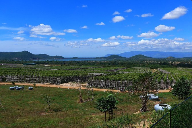 Digital Nomad Kampot Travel Guide